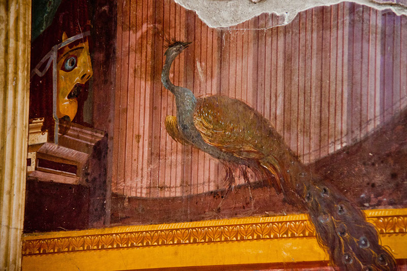 8_Villa Oplontis_ (2)