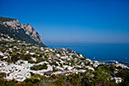 3_Capri_ (2)