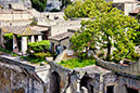 91_Herculaneum_ (11)